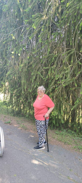 arboretum