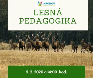 Lesná pedagogika